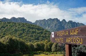 Le tre oasi protette dal Wwf nell’Isola: Monte Arcosu, Scivu e le Steppe sarde wwf-giornata-delle-oasi-domenica-21-maggio-visite-alla-riserva-di-monte-arcosu