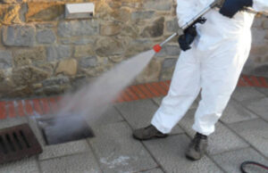 Cagliari, disinfestazione in via Manno: ecco quando