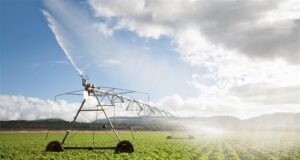 Consorzio di bonifica dell’Oristanese: domani sit-in di protesta