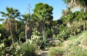 L’Orto Botanico di Cagliari resterà aperto anche a Pasqua e Pasquetta