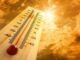 Meteo, allarme caldo in Sardegna: temperature oltre i 40°C
