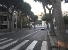 Verde pubblico: potatura in vista per due Ficus in viale Merello