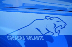 Quartu, ruba in un esercizio commerciale | 49enne arrestato in flagranza