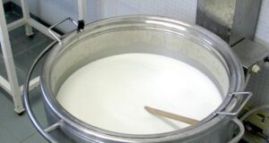 Prezzo latte, Verrascina (Copagri): “Se inferiore a costi produzione, gli allevamenti chiudono”