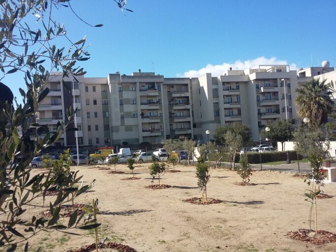 Sant’Elia invaso dalle zecche: domani parte la disinfestazione