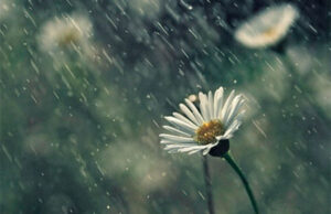 Tornano la pioggia e il vento: temperature in calo in Sardegna