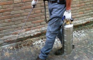 Disinfestazione contro i topi a Cagliari: ecco dove e quando