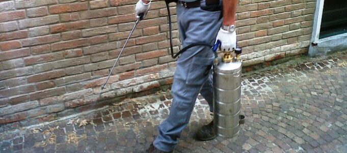 Disinfestazione contro i topi a Cagliari: ecco dove e quando