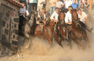 Ardia di Sedilo, Lav: “Queste esibizioni devono essere abolite”