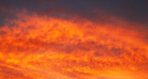 La Protezione civile: “In arrivo il gran caldo, massima allerta per gli incendi”