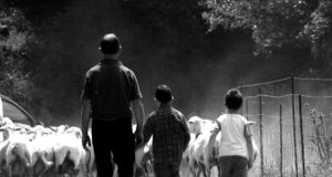 “Agricoltori e pastori siano i primi custodi del nostro territorio”