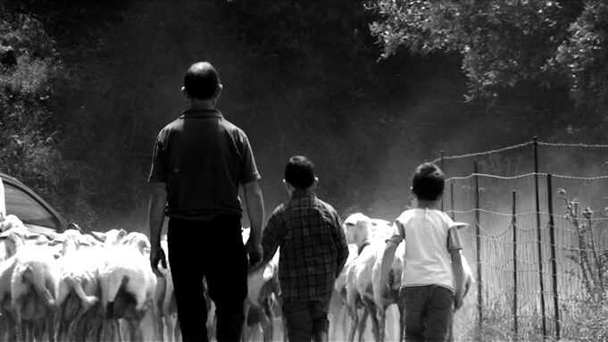 “Agricoltori e pastori siano i primi custodi del nostro territorio”