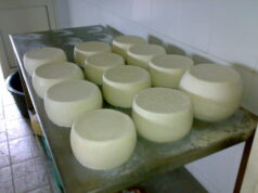 Maxi sequestro di formaggio nell’isola: sigilli a 400 tonnellate di Fiore Sardo