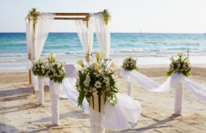 Covid, settori wedding e sport. Gelmini: “Presto date riaperture”