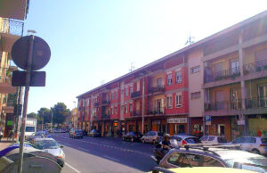 Pirri, messa a dimora di oltre 20 esemplari di Pinus pinea