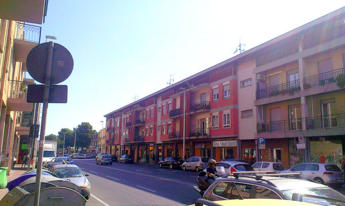 Pirri, messa a dimora di oltre 20 esemplari di Pinus pinea