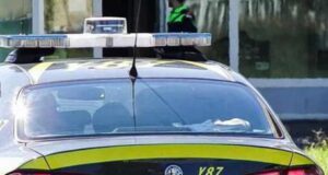 Blitz antidroga fra Toscana e Sardegna, sequestrati 8 quintali di marijuana