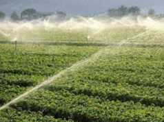 Pnrr, la Sardegna incassa due sì: finanziati due progetti per 13 milioni