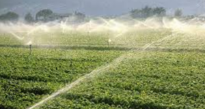 Pnrr, la Sardegna incassa due sì: finanziati due progetti per 13 milioni