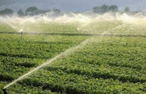 Pnrr, la Sardegna incassa due sì: finanziati due progetti per 13 milioni