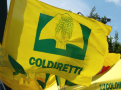 Crisi agricoltura, Coldiretti: buco da 8 miliardi | Ecco sostegni “salva cibo”