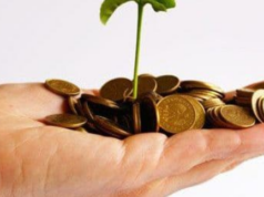 Notai, niente retribuzioni d’oro | Ecco quanto guadagnano