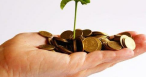 Notai, niente retribuzioni d’oro | Ecco quanto guadagnano