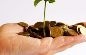 Notai, niente retribuzioni d’oro | Ecco quanto guadagnano