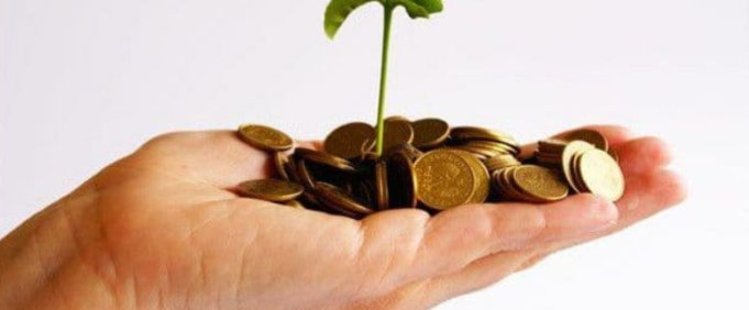 Notai, niente retribuzioni d’oro | Ecco quanto guadagnano