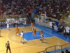 Viola Frongia nuovo direttore generale della Dinamo Banco di Sardegna