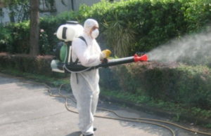 Chiuso Mercato di via Quirra per urgente derattizzazione