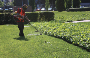 Cagliari, proseguono gli interventi sul verde cittadino