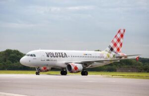 Volotea, dal 1° dicembre via al trasporto di animali in stiva