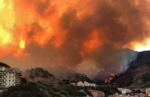 Incendi Sardegna: giovedì 15 luglio bollino arancione in alcune zone dell’Isola