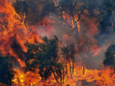 Allerta incendi in Sardegna: lunedì 19 luglio bollino arancione nel Cagliaritano