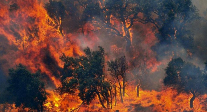 Allerta incendi in Sardegna: lunedì 19 luglio bollino arancione nel Cagliaritano