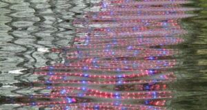 Un’azienda sarda produce una proteina che cambierà il mondo alimentare