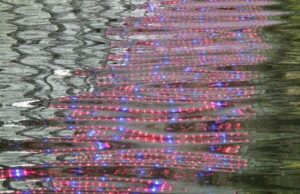 Un’azienda sarda produce una proteina che cambierà il mondo alimentare