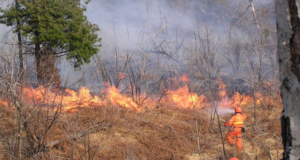 Allerta in Sardegna: mercoledì 21 luglio bollino arancione nel Cagliaritano