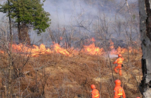 Allerta in Sardegna: mercoledì 21 luglio bollino arancione nel Cagliaritano