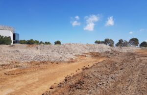 Poseidonia sulle spiagge: la Regione stanzia 500 mila euro