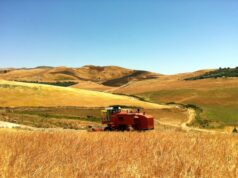 Agricoltura: “Centinaia di pratiche bloccate”, la denuncia di Coldiretti Nu-Og
