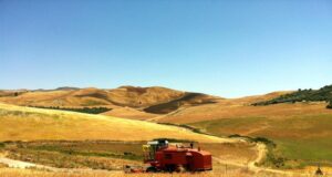 Agricoltura: “Centinaia di pratiche bloccate”, la denuncia di Coldiretti Nu-Og