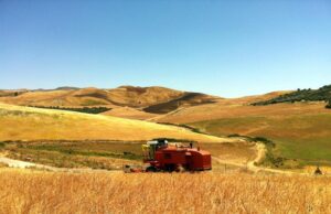 Agricoltura, Piana (CSA): “Dove sono gli indennizzi promessi?”