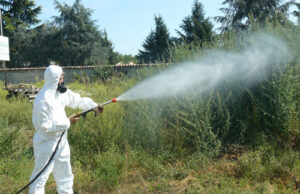 Cagliari, venerdì 21 disinfestazione contro zecche a Giorgino