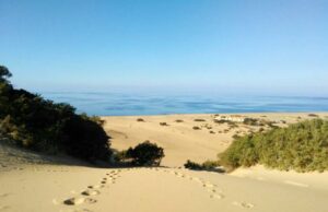 Nasce la Carta dei Comuni per tutelare le dune costiere | Firma anche la Sardegna