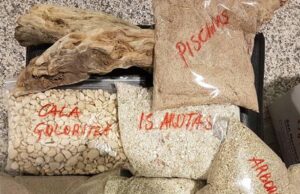 Furti di sabbia in Sardegna, la proposta del Corsera: “Daspo per i turisti incivili”