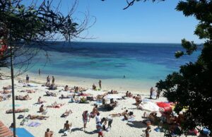 Truffa, violenza e minacce, denunciati tre uomini a Calamosca