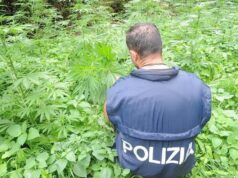 Sequestro di sostanze stupefacenti, la Sardegna è terza in Italia