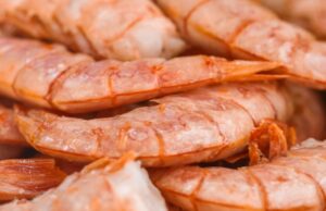 Cagliari, ripropone la “truffa dei gamberoni” | La vittima è un 80 enne